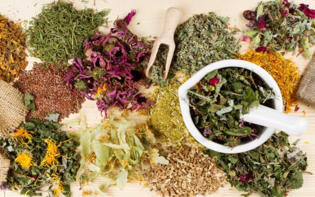 Chaque plante a sa propre liste de contre-indications