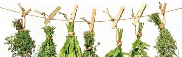 Herbes efficaces de la prostatite